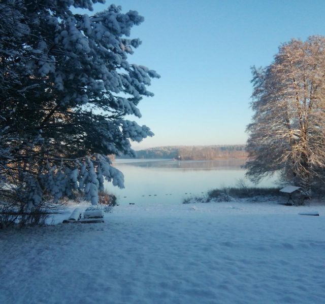 Unsere neue Website ist fertig