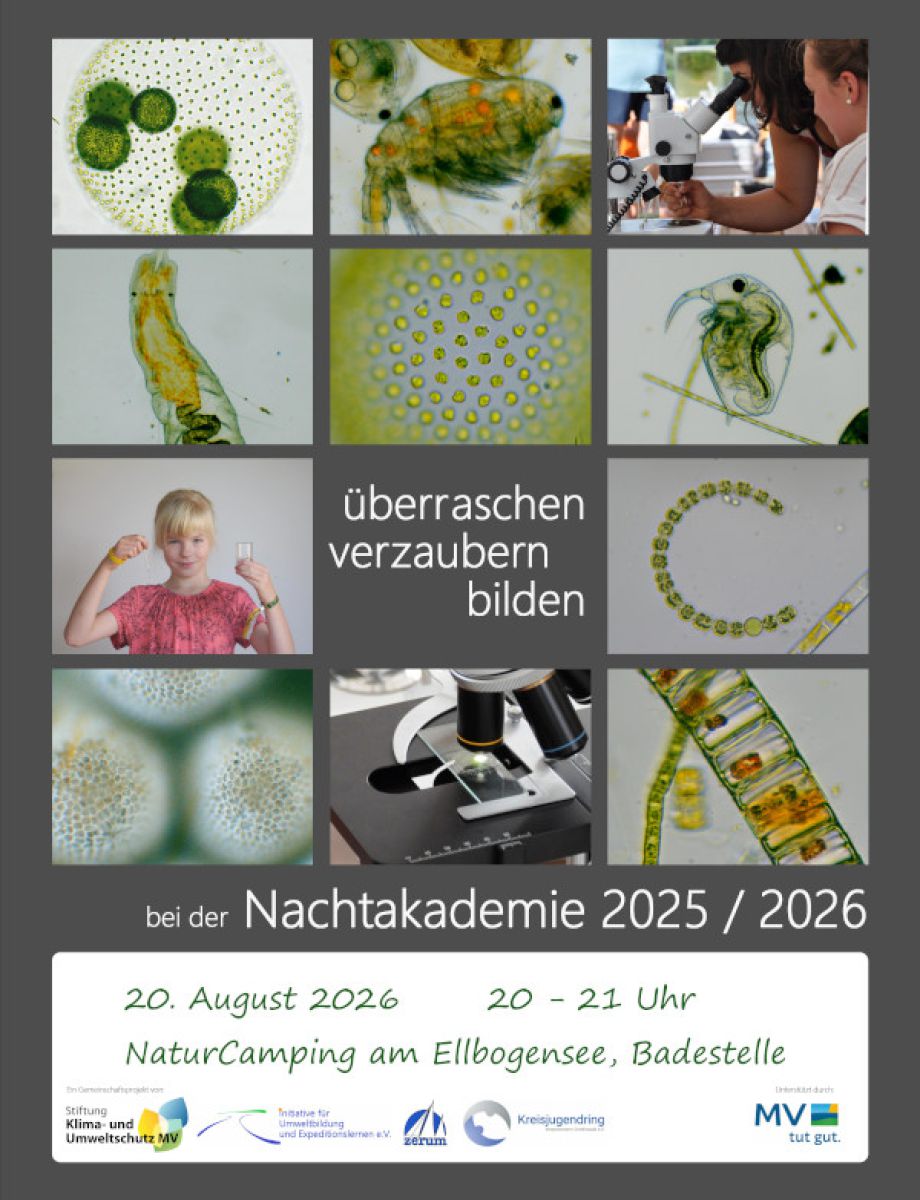 Nachtakademie 20.8.2026 am Ellbogensee